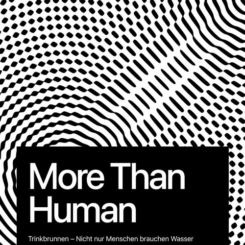 More Than Human - Trinkbrunnen: Nicht nur Menschen brauchen Wasser